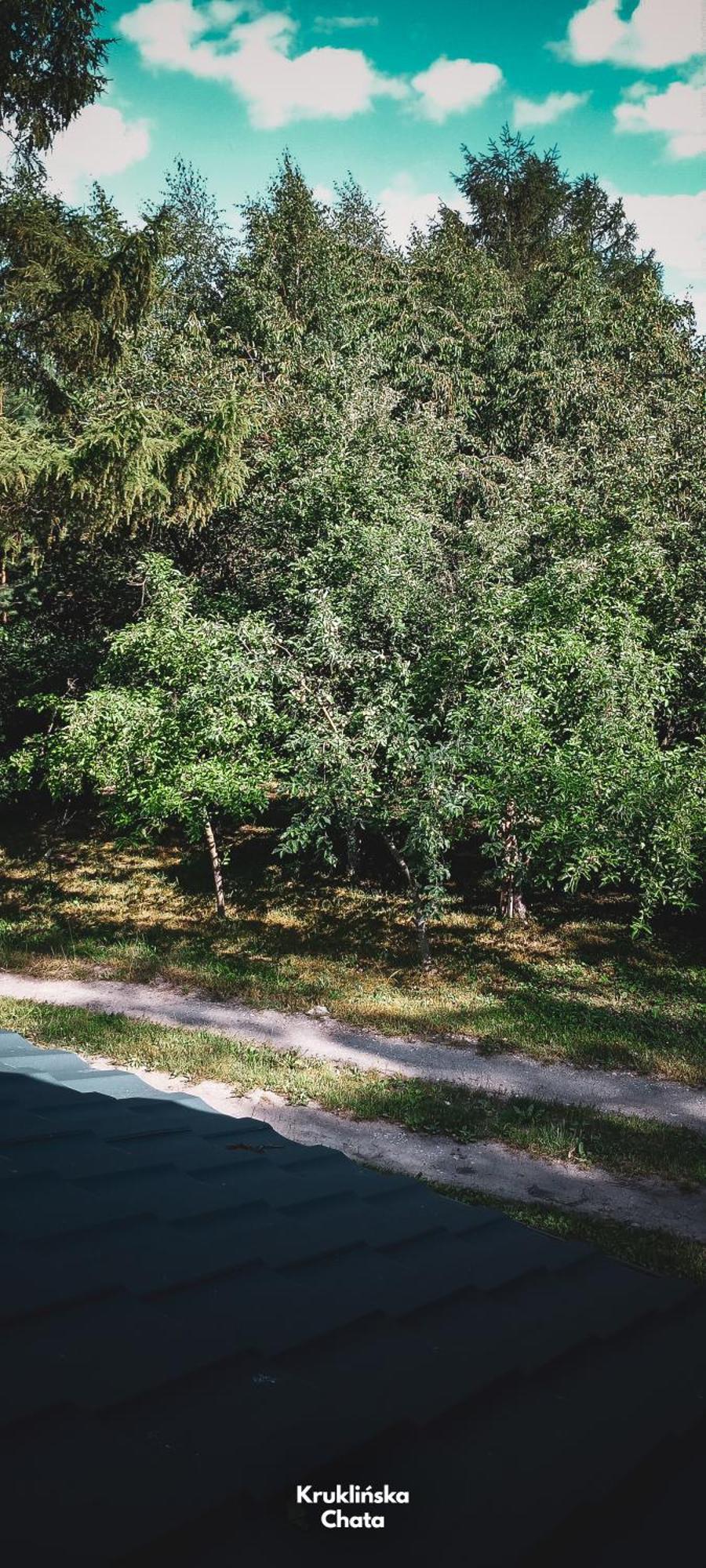 Kruklinska Chata - Domek Na Mazurach Exteriér fotografie